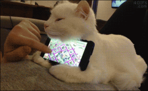 tu2.gif