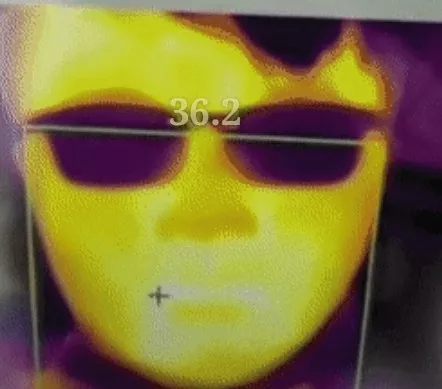 1582014743225545.png